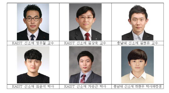 금속 나노소재를 이용해 수소연료전지의 성능을 대폭 향상시킨 새로운 나노촉매기술 개발에 참여한 KAIST, 충남대 교수 연구팀 모습  KAIST 제공